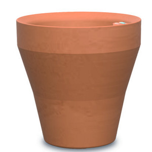 Rim Planter