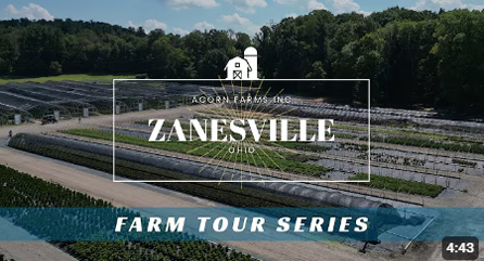 Acorn Farms - Zanesville Farm
