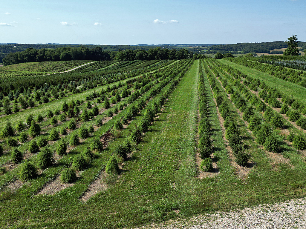 Fredricktown farm image