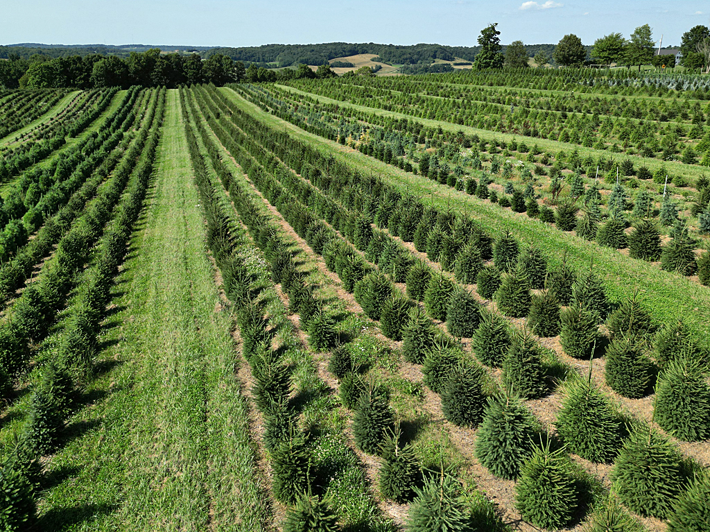 Fredericktown farm image