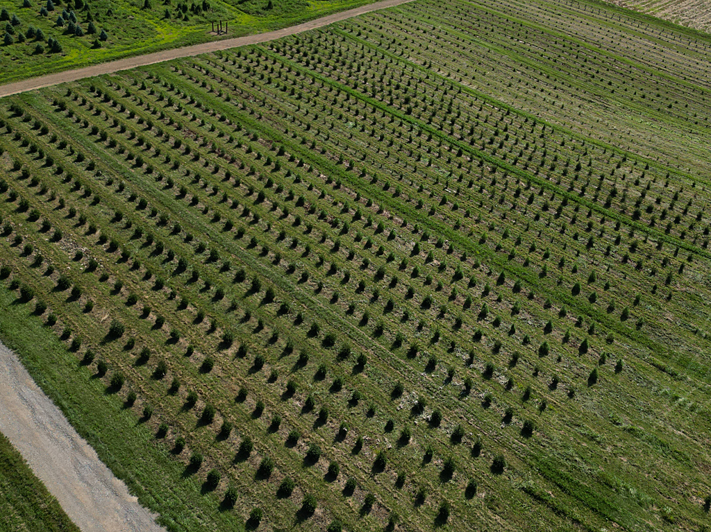 Fredericktown farm image