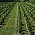 Fredericktown farm image