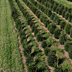 Fredericktown farm image