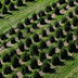 Fredericktown farm image