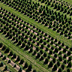 Fredericktown farm image