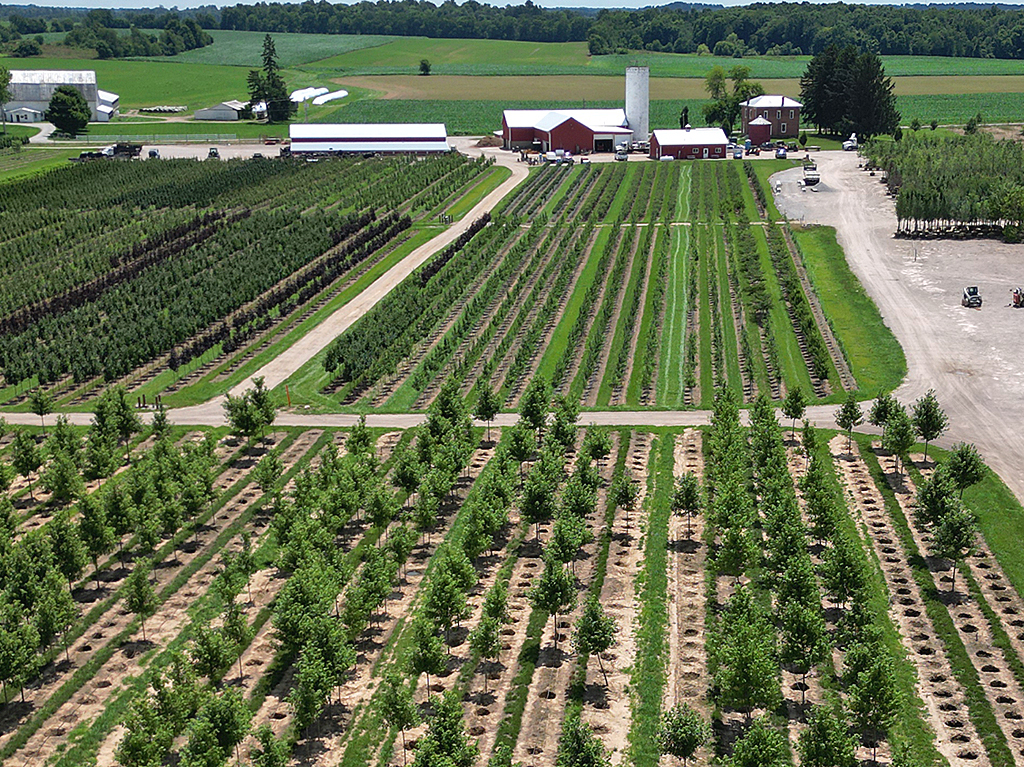 Fredericktown Sparta Farm image