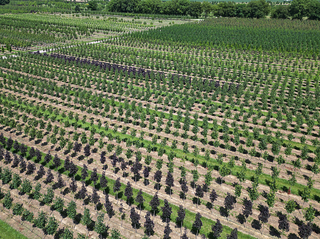 Fredericktown Sparta Farm image