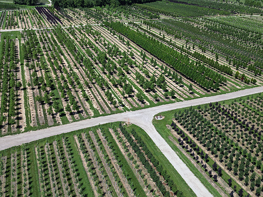 Fredericktown Sparta Farm image