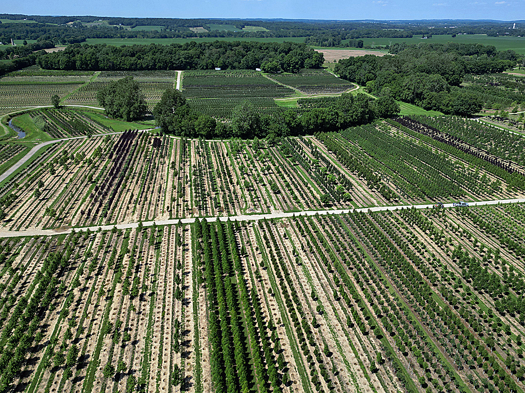 Fredericktown Sparta Farm image