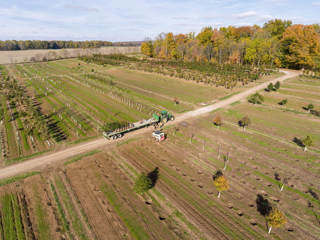 FREDRICKTOWNSPARTA FARM HIGHLIGHTS an overview highlights of Acorn