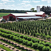 Fredericktown Sparta Farm image