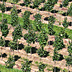 Fredericktown Sparta Farm image