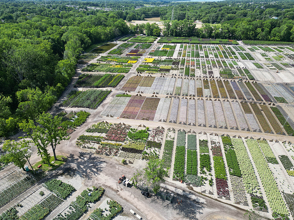 farm image