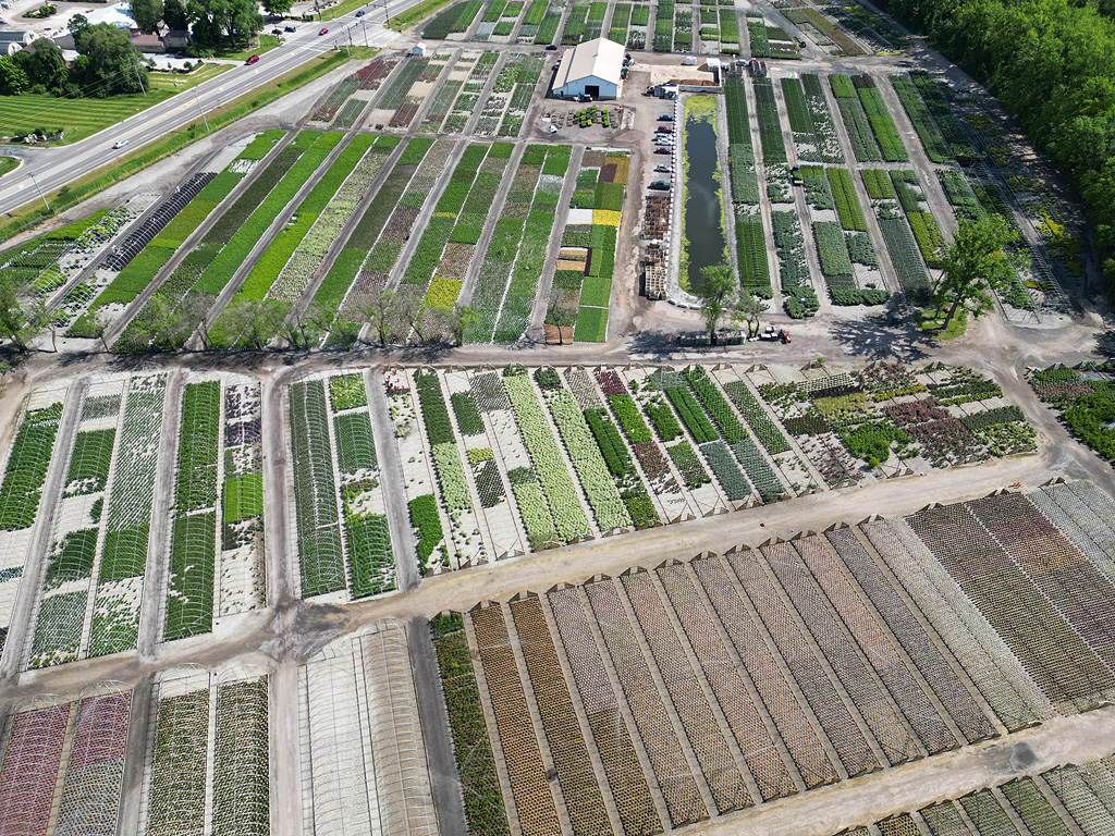 farm image