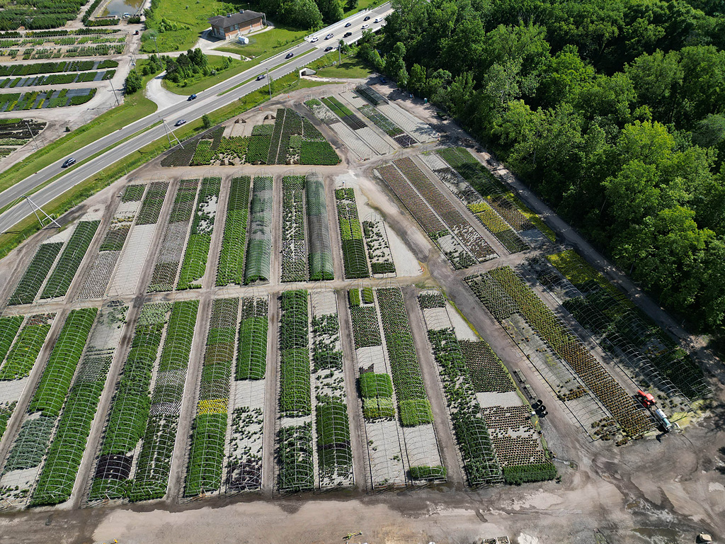 farm image