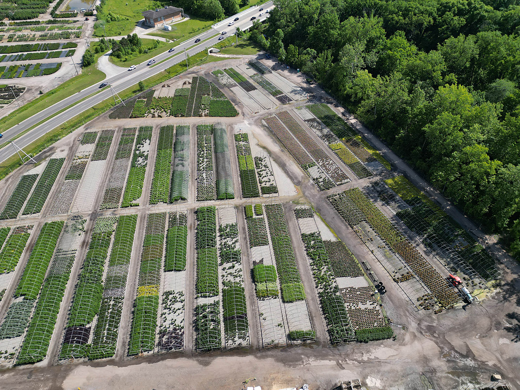 farm image