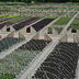 farm image