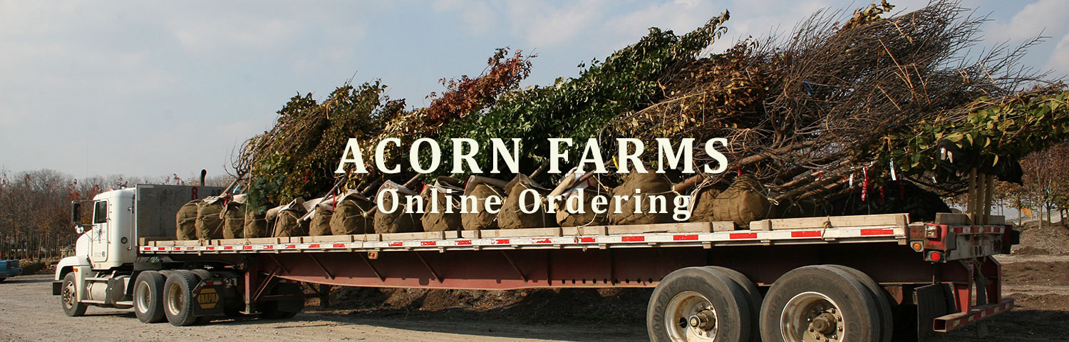 Acorn Farms