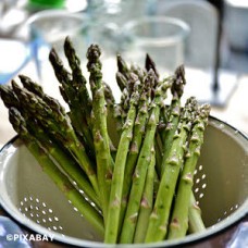 ASPARAGUS MARY WASHINGTON