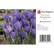 CROCUS REMEMBRANCE