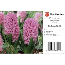 HYACINTH PINK PEARL