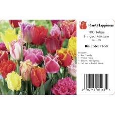 TULIP FRINGED MIX