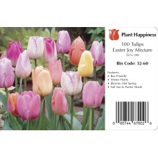 TULIP EASTER JOY MIX TULIP EASTER JOY MIX