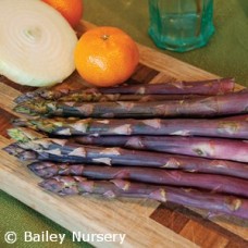 ASPARAGUS PURPLE PASSION ASPARAGUS PURPLE PASSION